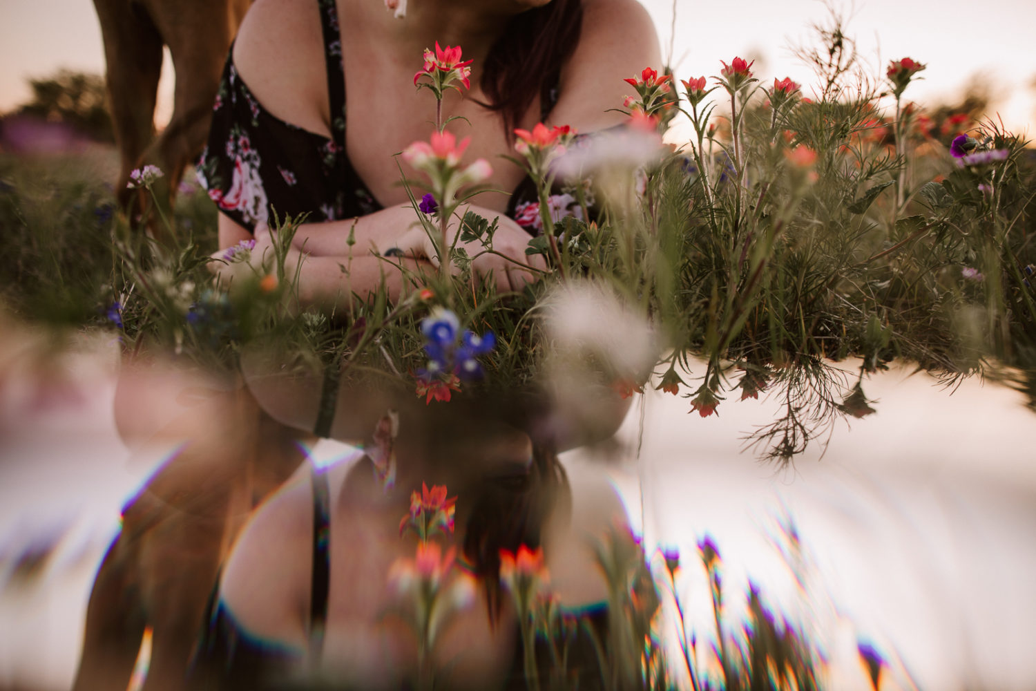 Fine Art, Travel & Lifestyle